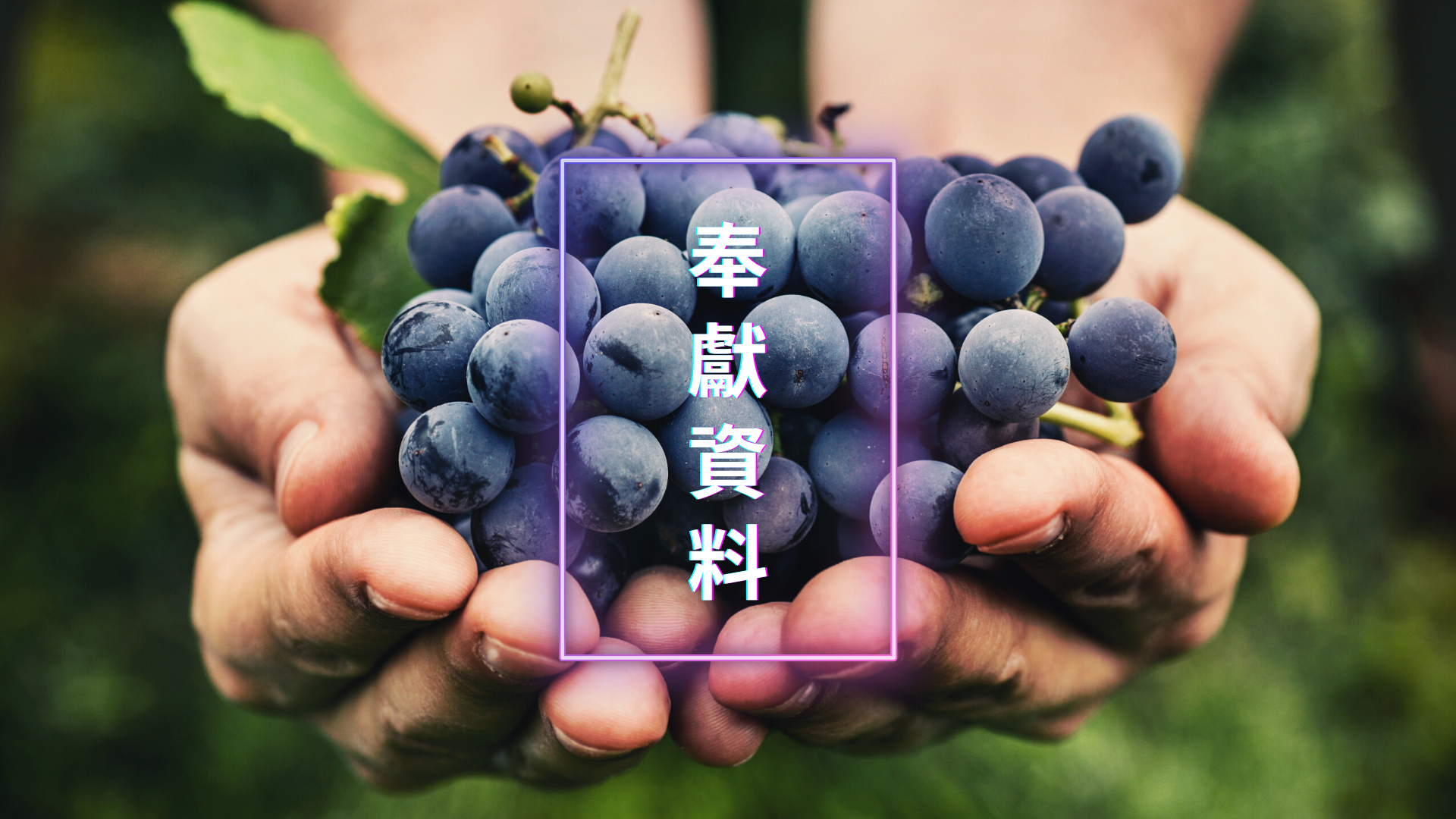 奉獻資料